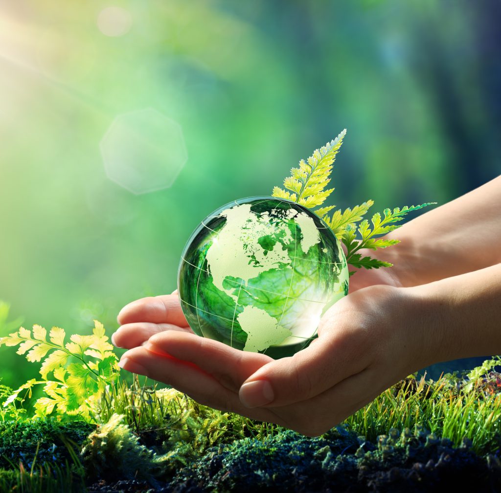 A person holding a green globe in their hands.