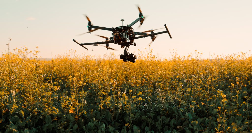 A drone with a camera hovers over a field of yellow flowers under a clear sky.