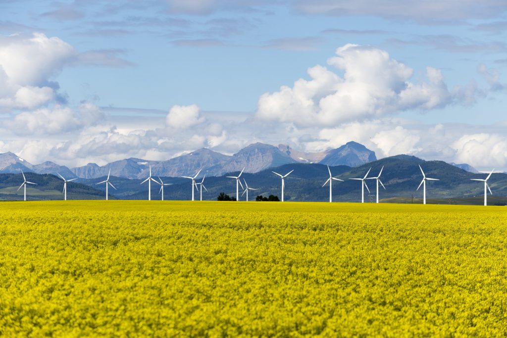 Wind turbines standing in a vast yellow field with mountains in the background under a partly cloudy sky.