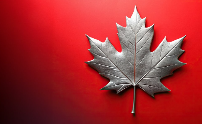 A silver maple leaf is displayed on a red background.